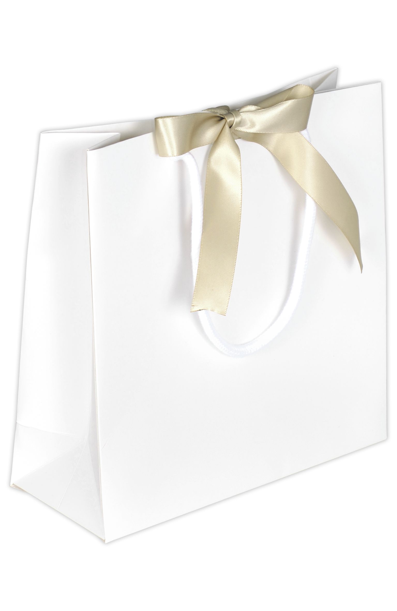 Papiertasche "Present"