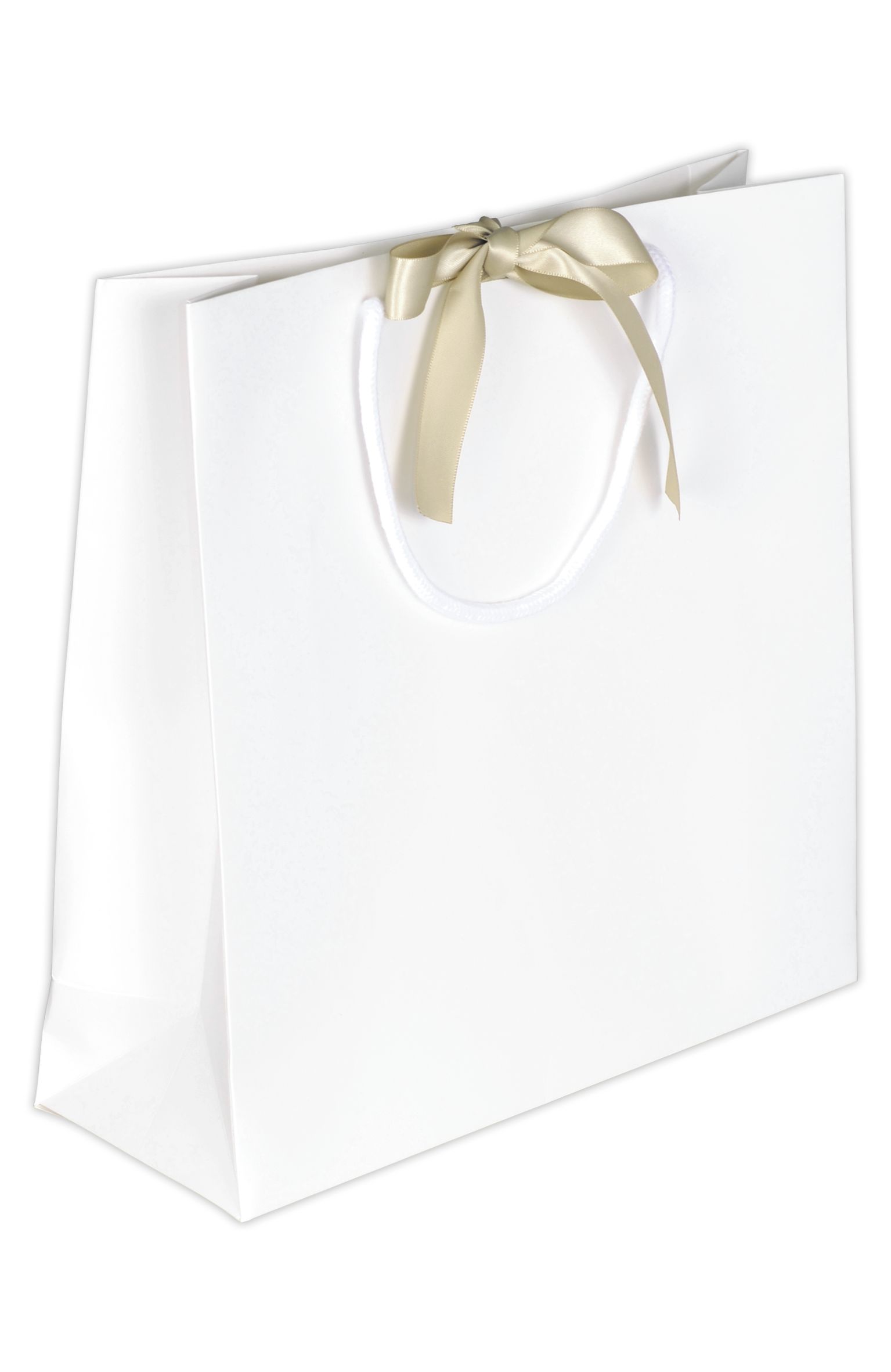 Papiertasche "Present"