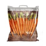 Coolerbag Kühltaschen bedrucken lassen mit Logo oder Motiv - Einzelansicht